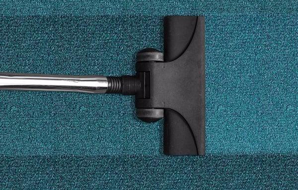 San Fernando Valley Carpet Cleaning
4403 Mammoth Ave. #3
Sherman Oaks, CA 91423
(818) 946-0477