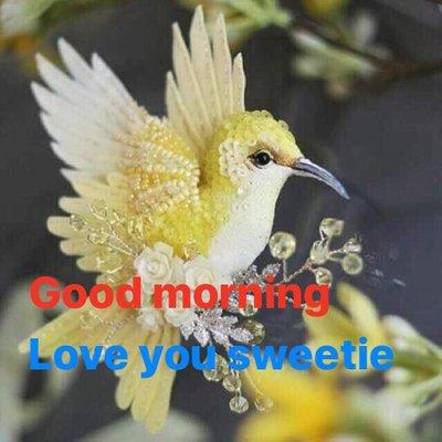 Georgia Carpet Finishers