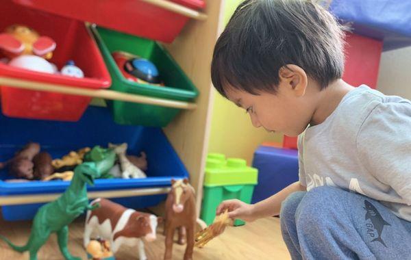 Little Panda Fun Place Wonderschool