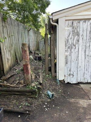 we cut down all the overgrowth along side the garage on up the side of the house also, even removed all vines growing in the chain link.
