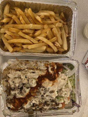 1. Gyro combo Plate