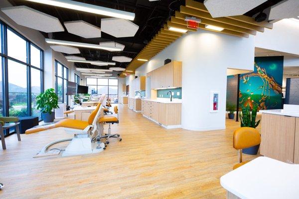 Northwest Orthodontics