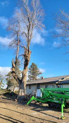 Uribe's Tree Service LLC