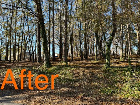 Chandler Land Management