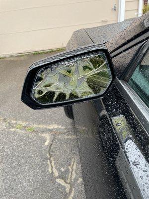 Don't Support this Company Wash @ Your own Risk #FixMyCar