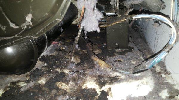 Appliance Repair Ace