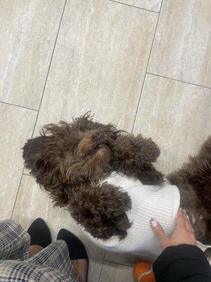 Myle at The Nail Studio