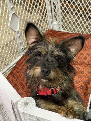 Jackson County Animal Shelter