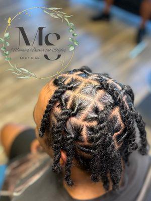 2 Strand twist