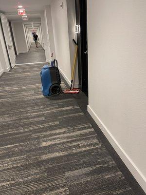 Dehumidifier outside an apartment yesterday. Part of their mold treatment process