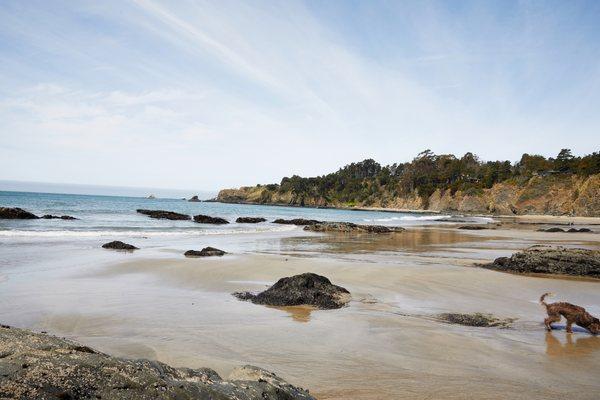 Fish Rock Cove at low tide.
