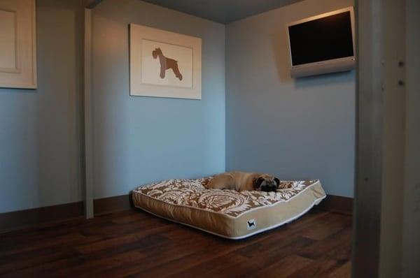 Ruff Dog Daycare + Hotel