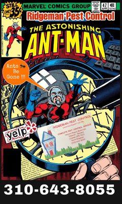 Ridgeman Pest Control