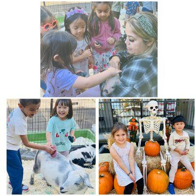 Our students had a blast at the petting zoo and pumpkin patch! A day full of smiles, cuddles, and fall fun!