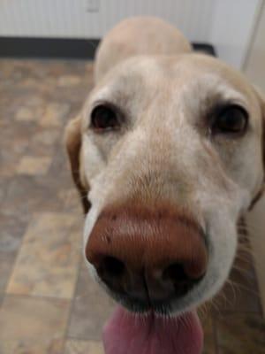 Vincennes Veterinary Clinic