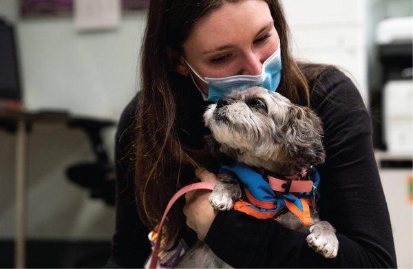 The Good Dog Foundation