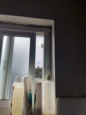 Diamond Economy Cleaning LLC