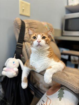 CarePlus Veterinary Clinic