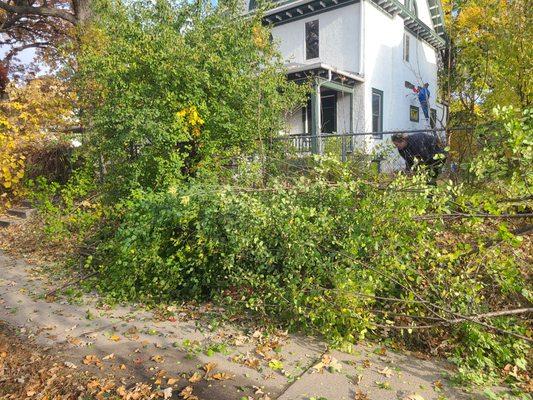 Designscape Creations