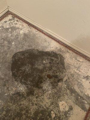 Sycamore Pointe Apartments