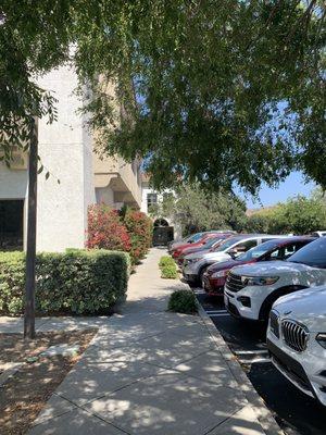 Healing Massage by Sally