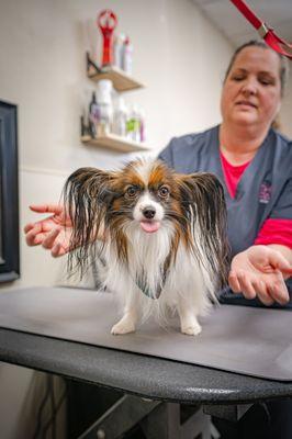 The PARC Grand Resort