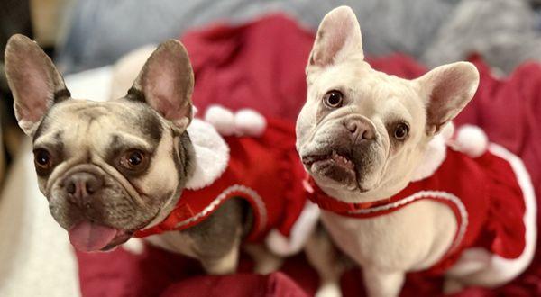 Peggy Lee and Willa Jean