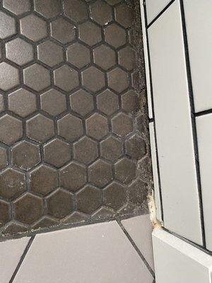 Zerorez Willamette Valley