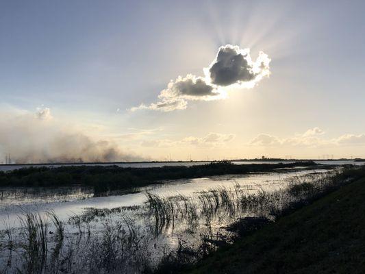 Stormtreatment Area 1 East