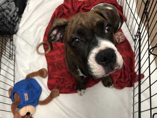 Concord Physical Therapy