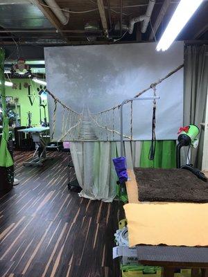 unleashed Dog Grooming Salon