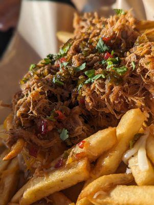 Pulled Pork Fries