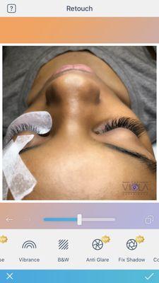 The Viola Experience