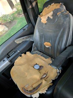 Concord Auto Upholstery