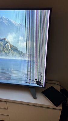 Sunrise USA Moving and Delivery Service