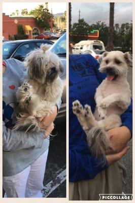 Great job! Baby was so happy as your u can tell