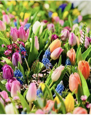 Blossom + Stem Floral Design