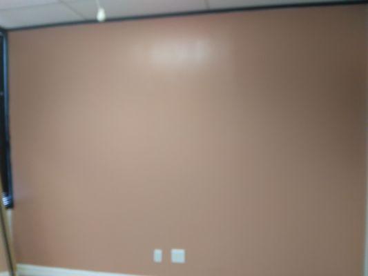 Angel's Touch Moving and Painting