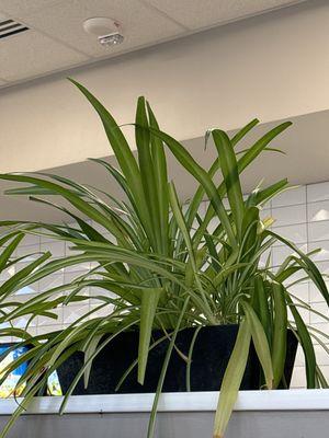 University of Wisconsin-Stevens Point