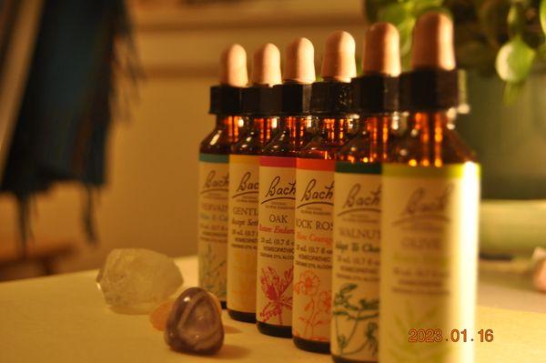 There are 38 remedies, and in your consultation with me you receive your personal mix that is tailored exactly to you.