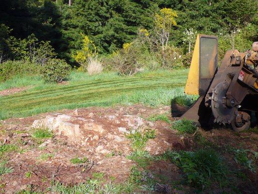 Custom Stump Grinders