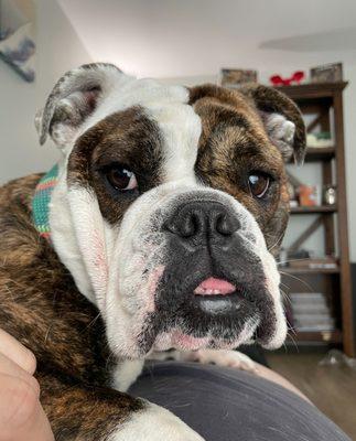 Green Tax & Accounting