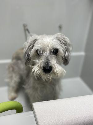 Getting her exit bath!!