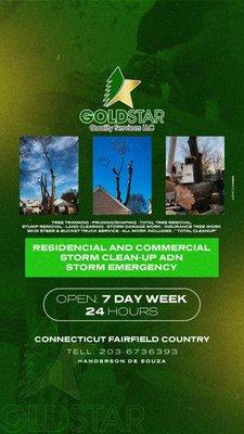 Gold Star Quality Services