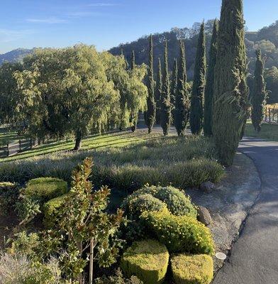 Alhambra Valley Retreat