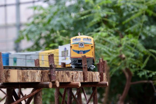 Nicholas Conservatory and Gardens