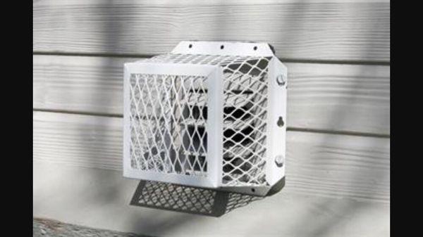 California's Rodent Services