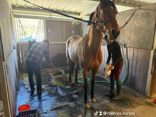 Christopher James Horsemanship