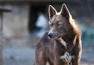 Wintermoon Summersun Adventures