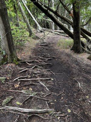Door Bluff Headlands County Park